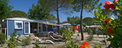 Campings avec quartiers VIP / Premium