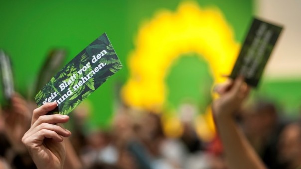 Image with missing alt attribute found on e-news.su