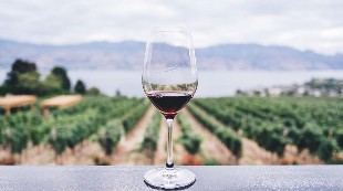 Este es el mejor vino de 2019