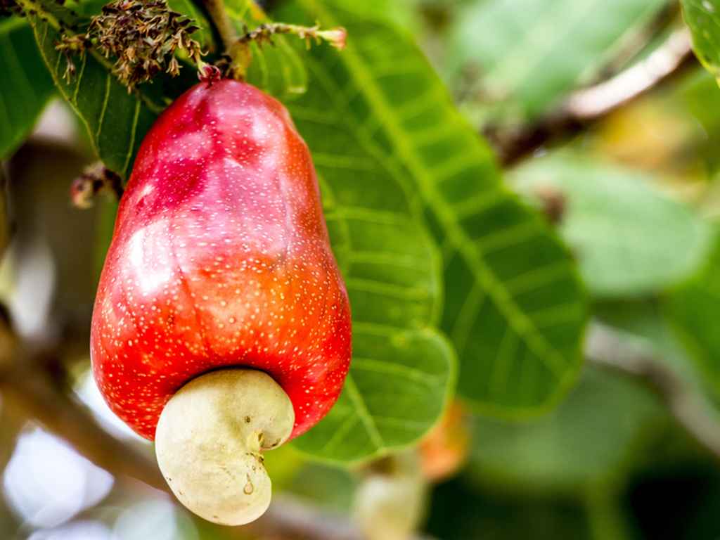 Image with missing alt attribute found on eargltd.com