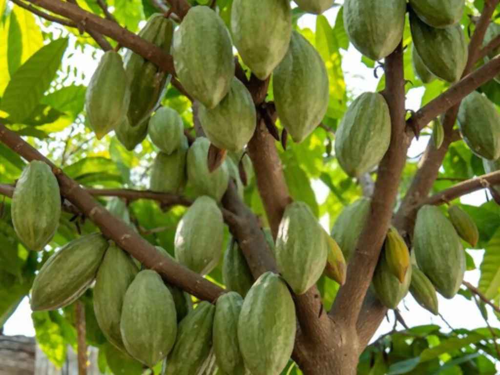 Image with missing alt attribute found on eargltd.com