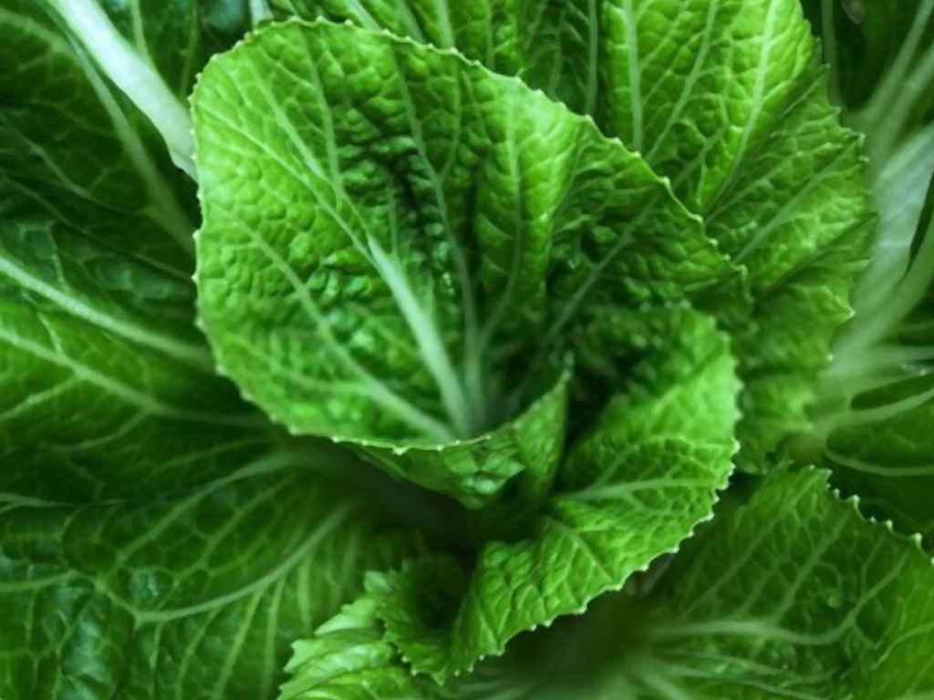 Image with missing alt attribute found on eargltd.com