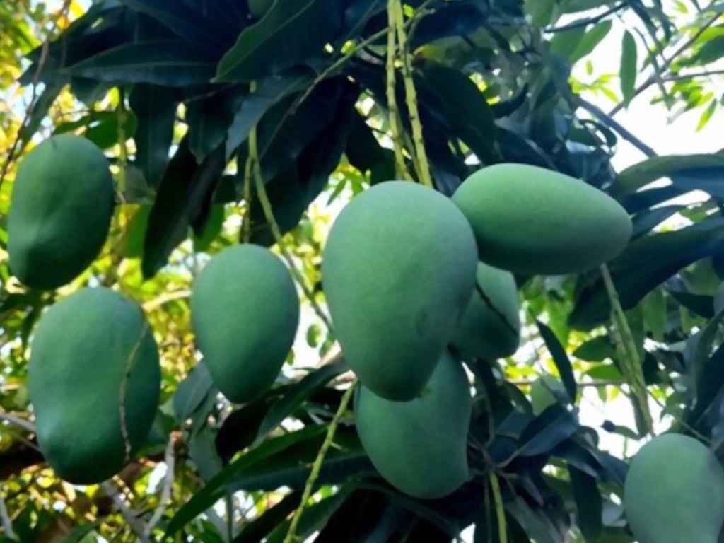 Image with missing alt attribute found on eargltd.com