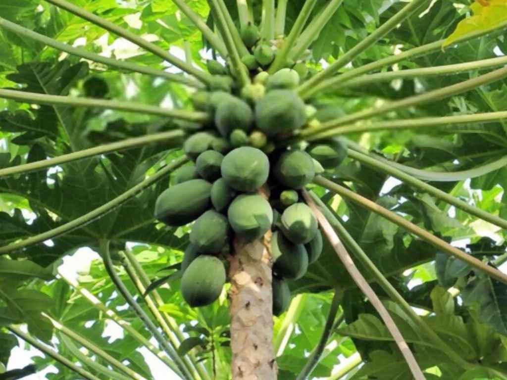 Image with missing alt attribute found on eargltd.com