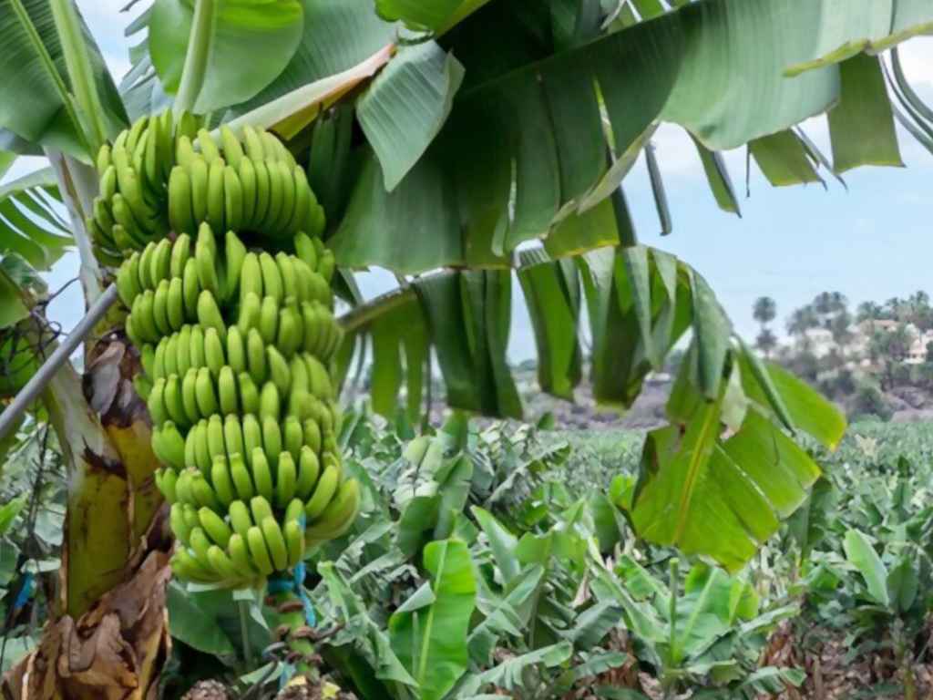 Image with missing alt attribute found on eargltd.com