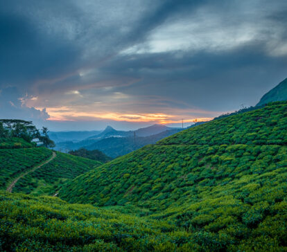 Image with missing alt attribute found on easternsojourns.com