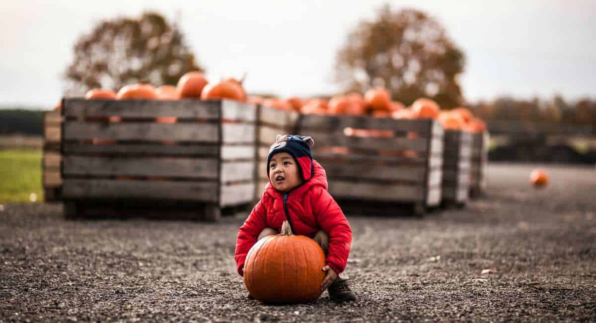 Image with missing alt attribute found on ecocosas.com