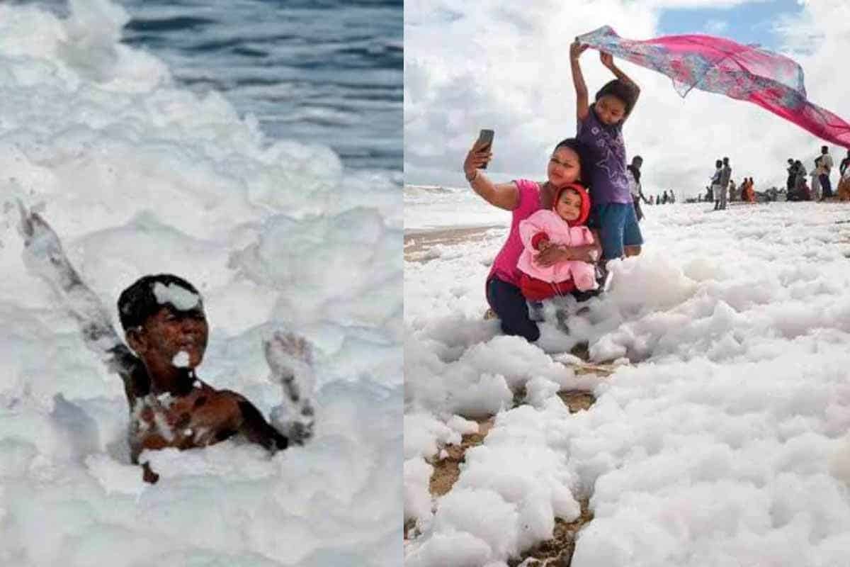 Image with missing alt attribute found on ecocosas.com