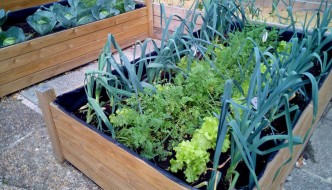 Image with missing alt attribute found on ecoinventos.com