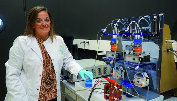 Image with missing alt attribute found on ecoinventos.com