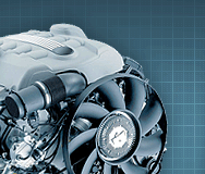 Image with missing alt attribute found on elcats.ru