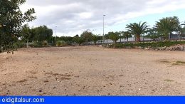 Image with missing alt attribute found on eldigitalsur.com