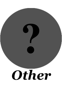 Image with missing alt attribute found on electionbettingodds.com