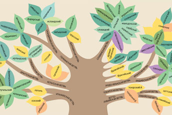 Image with missing alt attribute found on elementy.ru