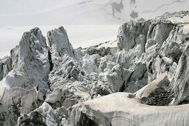 Image with missing alt attribute found on elementy.ru