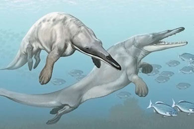 Image with missing alt attribute found on elementy.ru