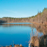 Image with missing alt attribute found on elementy.ru