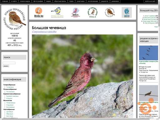 Image with missing alt attribute found on elementy.ru
