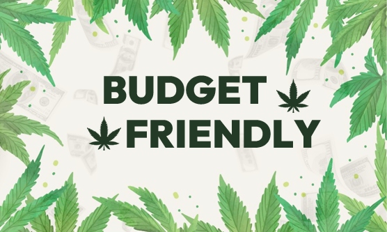 Image with missing alt attribute found on elitedispensary.co