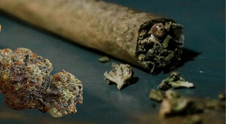 Image with missing alt attribute found on elitedispensary.co