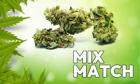 Image with missing alt attribute found on elitedispensary.co