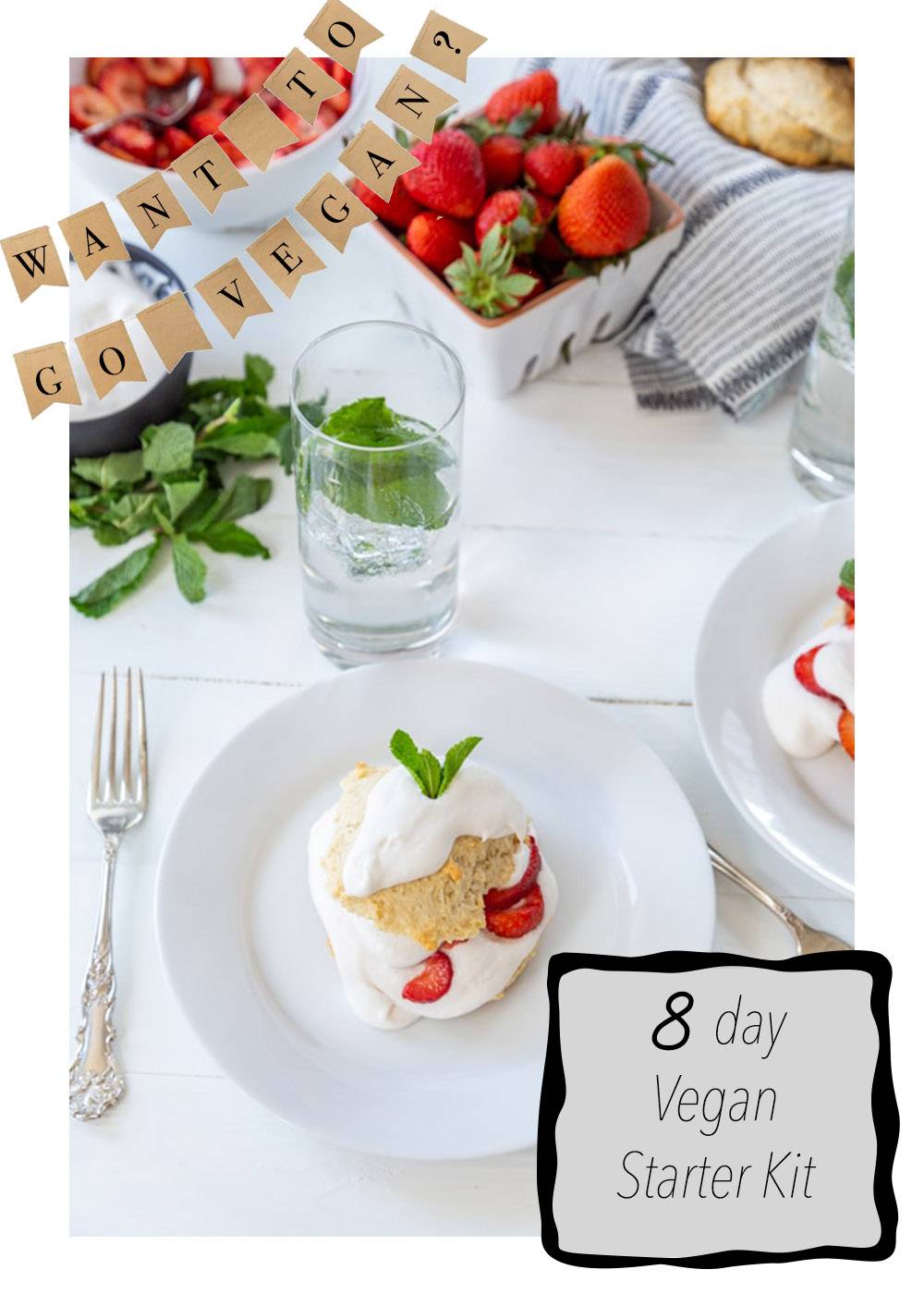 Image with missing alt attribute found on veganosity.com