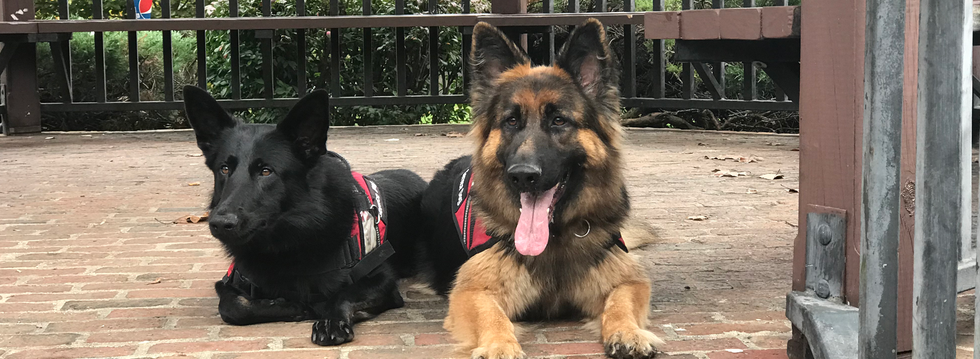 Image with missing alt attribute found on empirestatek9.com