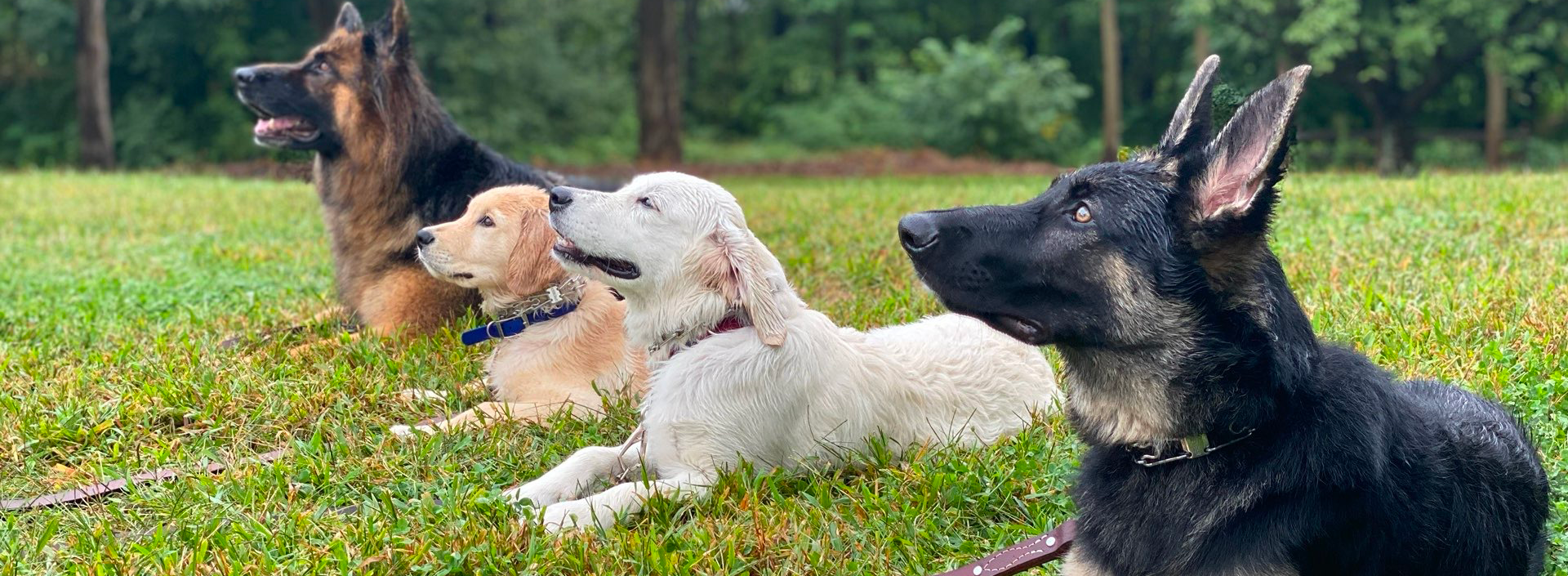 Image with missing alt attribute found on empirestatek9.com