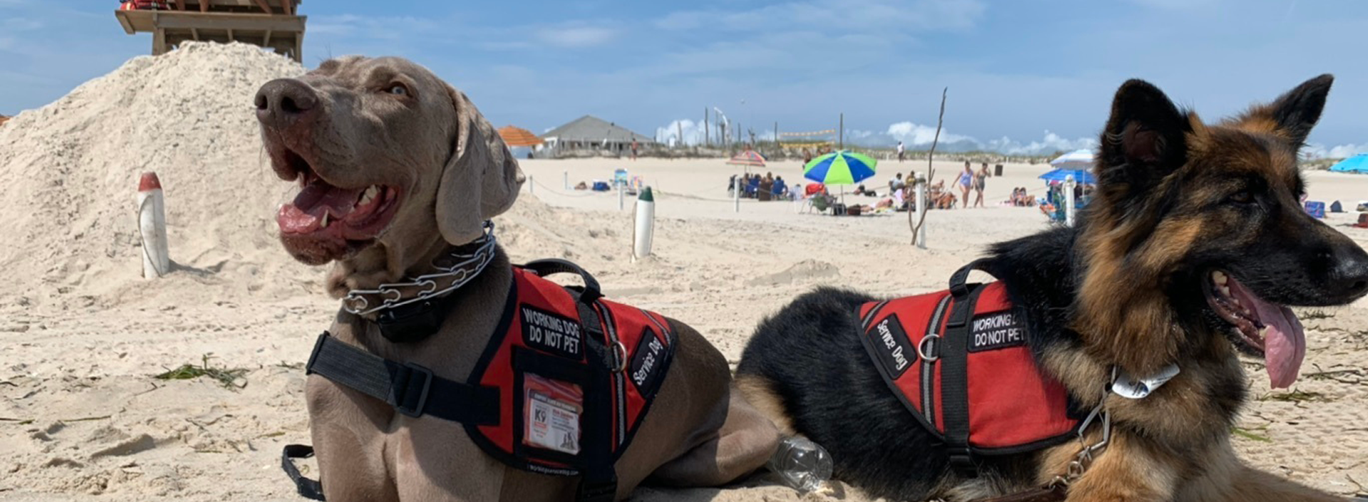 Image with missing alt attribute found on empirestatek9.com