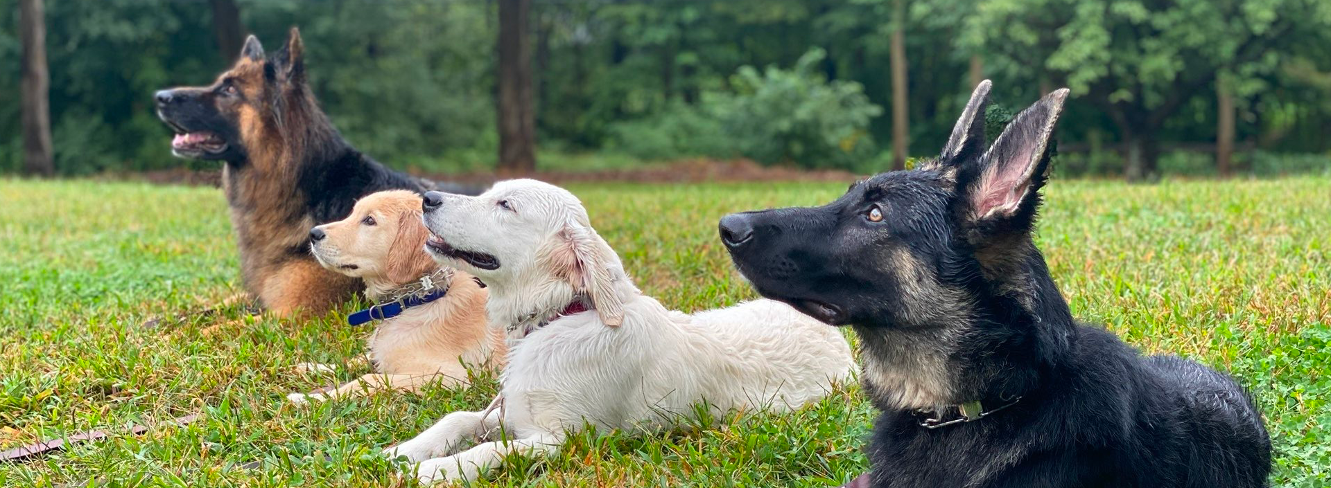 Image with missing alt attribute found on empirestatek9.com