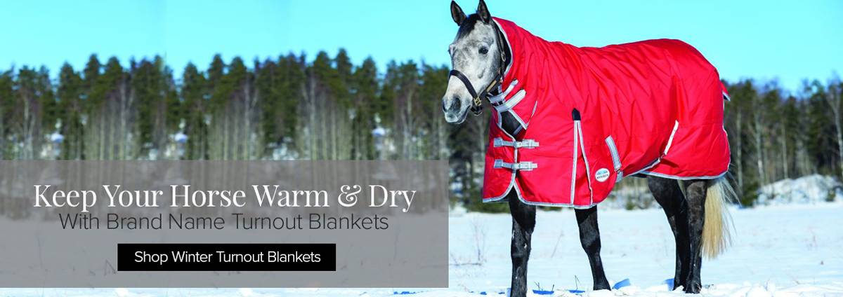 Shop Ladies Breeches