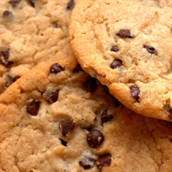 Image with missing alt attribute found on equipnet.com