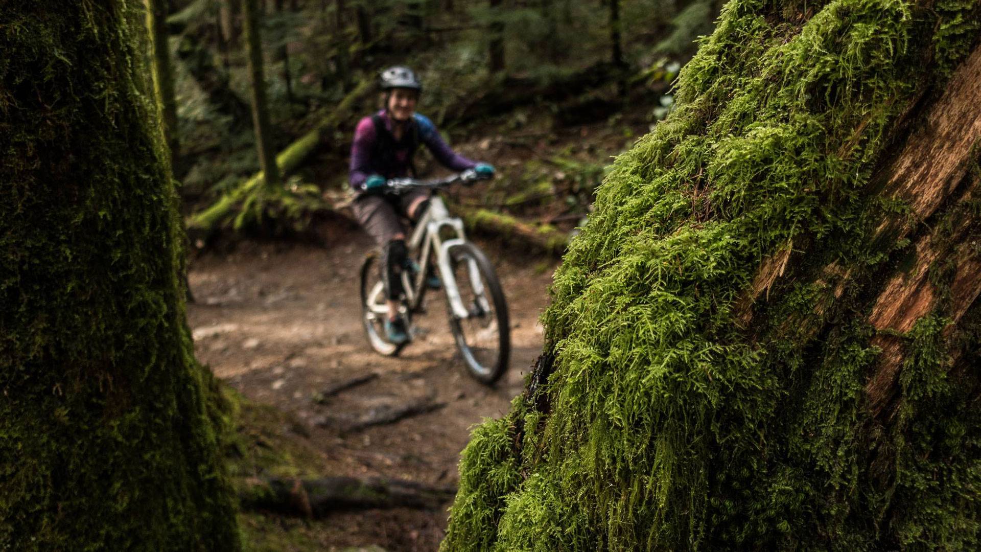 Image with missing alt attribute found on trailforks.com