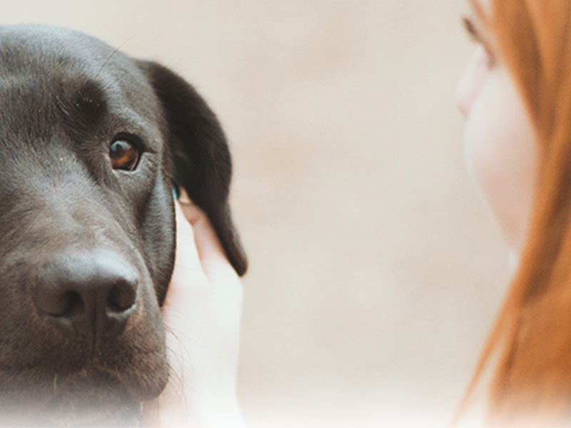 Image with missing alt attribute found on esadoctors.com