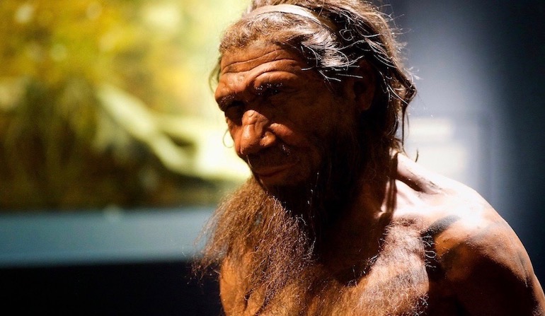 Image with missing alt attribute found on evolutionnews.org