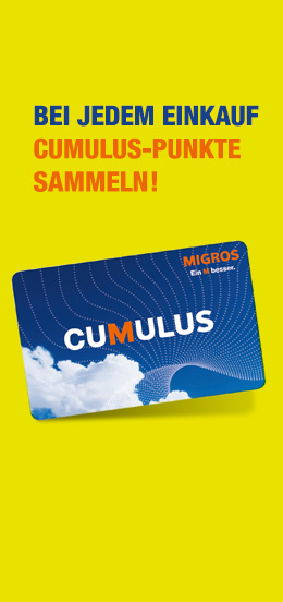 Image with missing alt attribute found on exlibris.ch