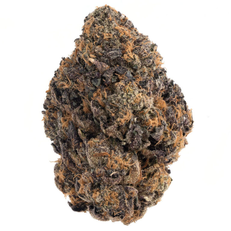 Image with missing alt attribute found on expressbuds.ca