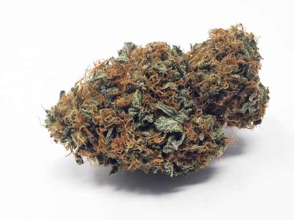 Image with missing alt attribute found on expressbuds.ca