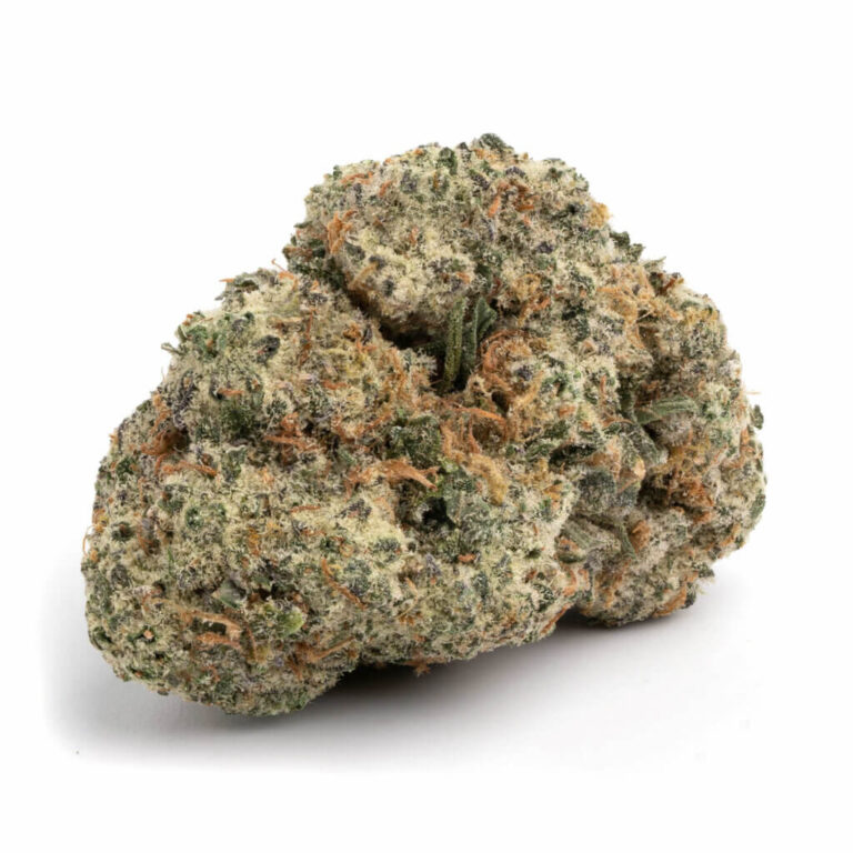 Image with missing alt attribute found on expressbuds.ca