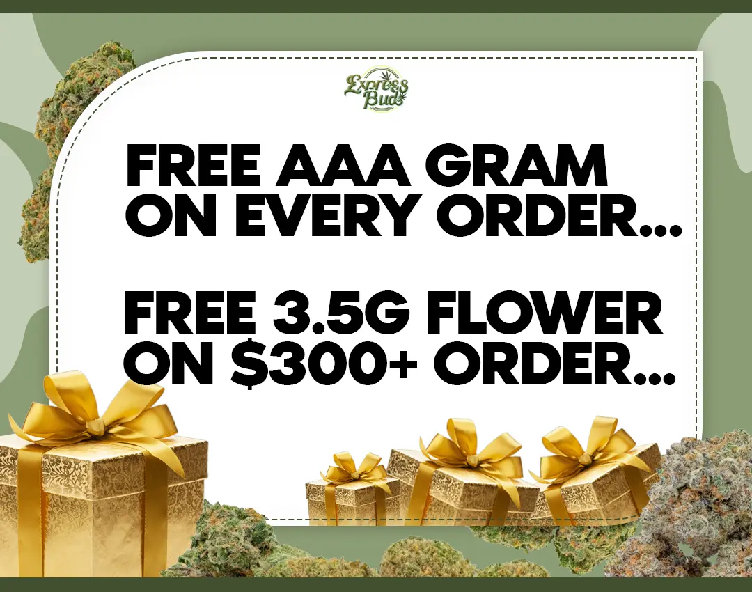 Image with missing alt attribute found on expressbuds.ca