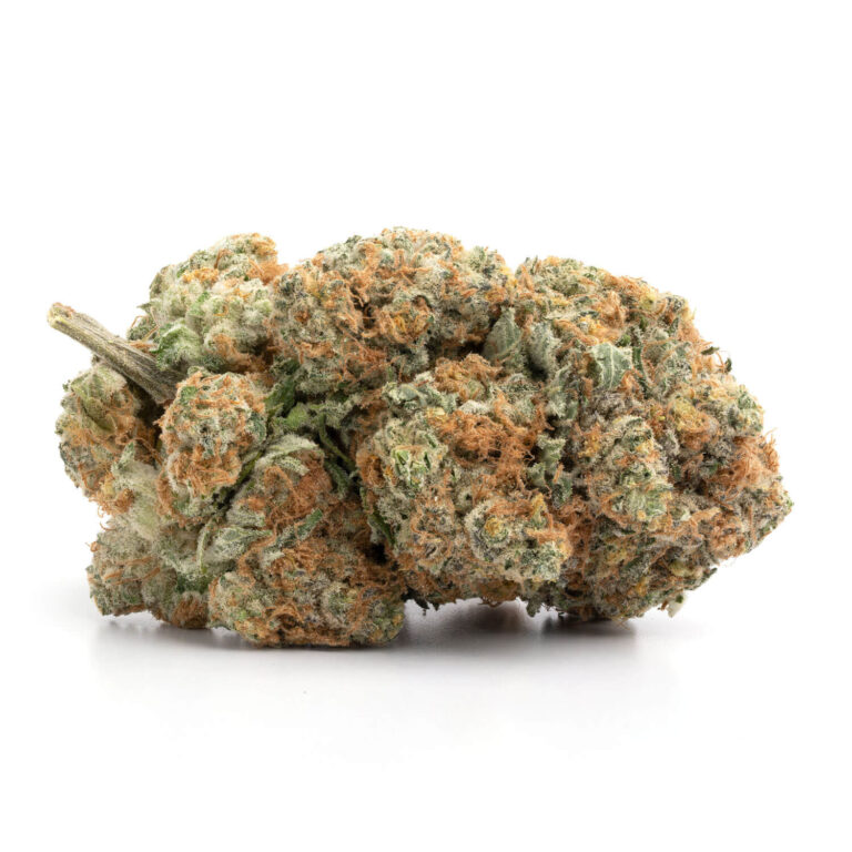 Image with missing alt attribute found on expressbuds.ca