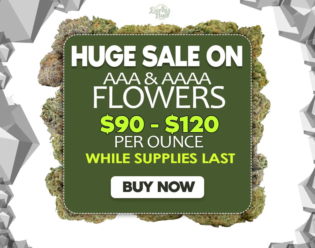 Image with missing alt attribute found on expressbuds.ca