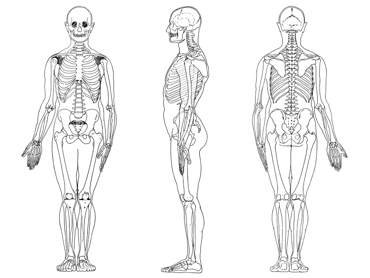 Kinesiology and Biomechanics