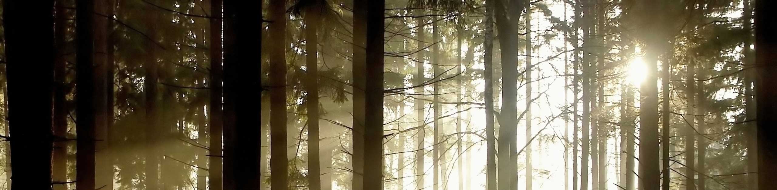 Image with missing alt attribute found on analyzemath.com