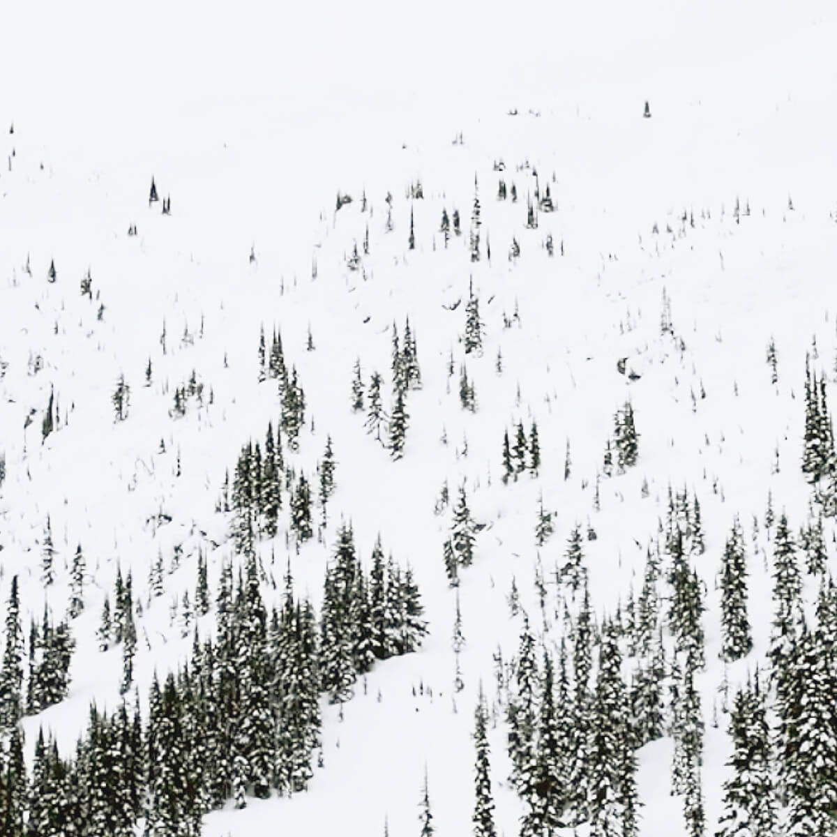 Image with missing alt attribute found on vimeo.com