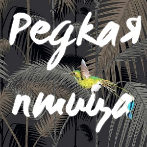 Image with missing alt attribute found on fanfics.me