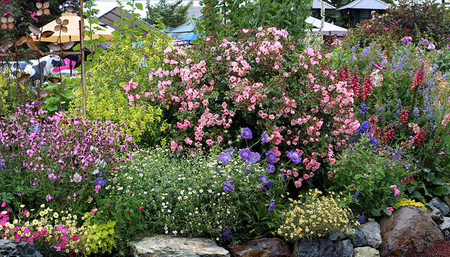 Image with missing alt attribute found on anniesannuals.com