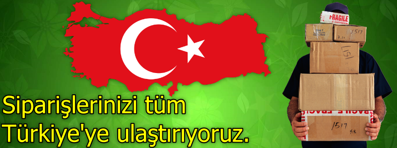 Image with missing alt attribute found on tutuevi.com