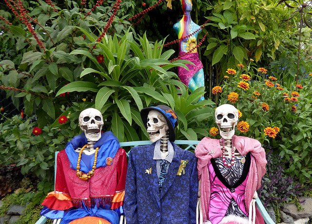 Image with missing alt attribute found on anniesannuals.com