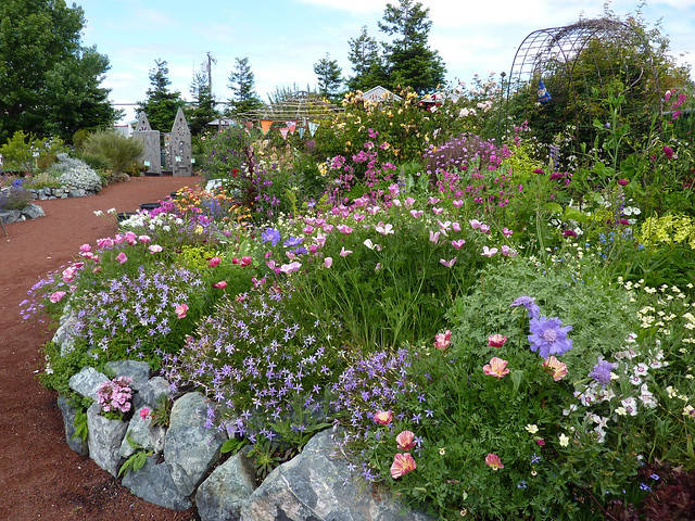 Image with missing alt attribute found on anniesannuals.com